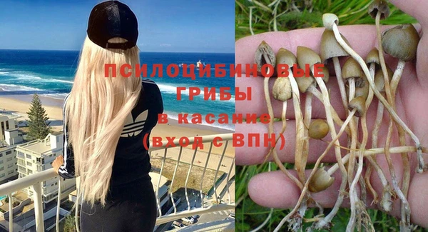 твердый Абаза