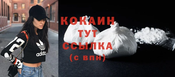 твердый Абаза
