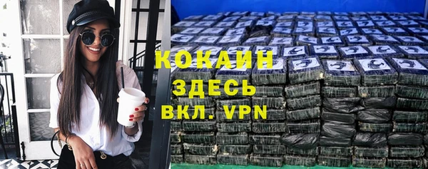 твердый Абаза